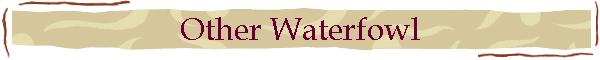 Other Waterfowl
