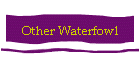 Other Waterfowl
