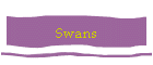 Swans